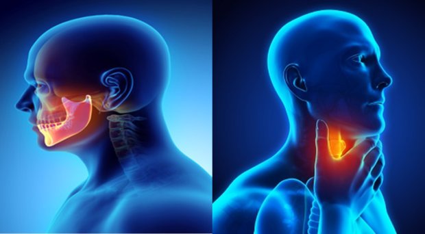 Head and Neck Cancers Treatment Treatment in Bilaspur Chhattisgarh